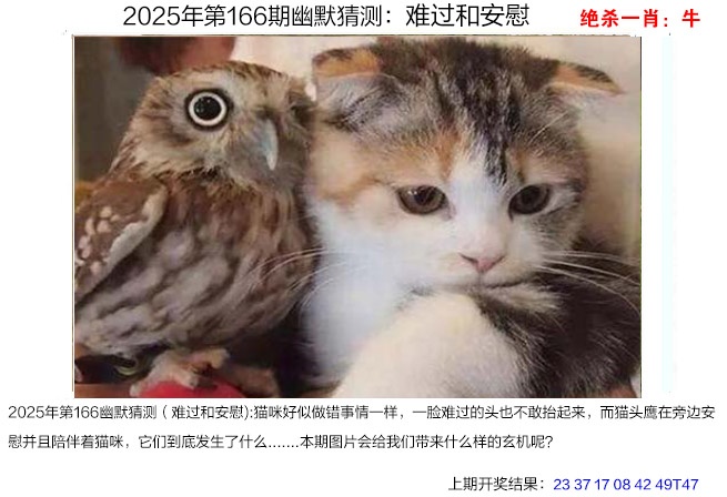 图片更新中.....